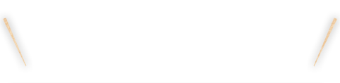 ホルモンのからあげと