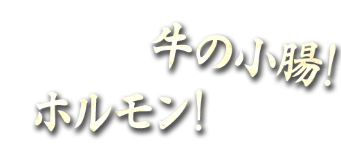 牛の小腸、ホルモン！